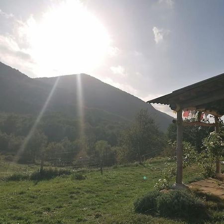 Bright Loft With Mountain And Nature View Sougraigne Εξωτερικό φωτογραφία