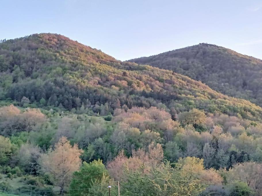 Bright Loft With Mountain And Nature View Sougraigne Εξωτερικό φωτογραφία