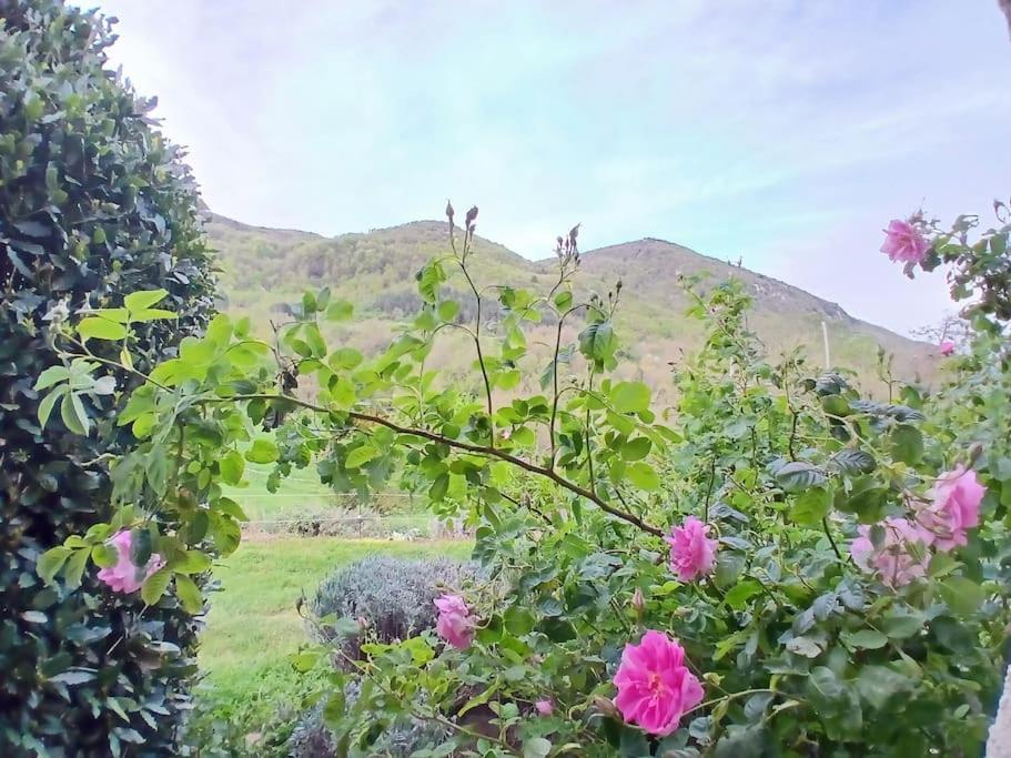 Bright Loft With Mountain And Nature View Sougraigne Εξωτερικό φωτογραφία