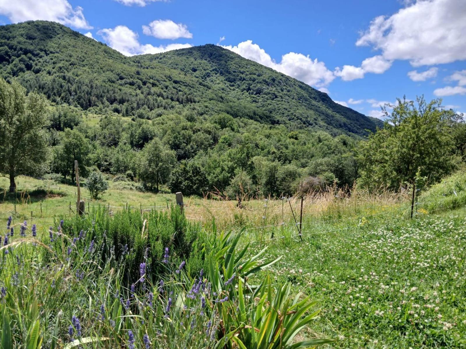 Bright Loft With Mountain And Nature View Sougraigne Εξωτερικό φωτογραφία